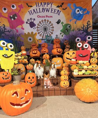 ハロウィンを堪能