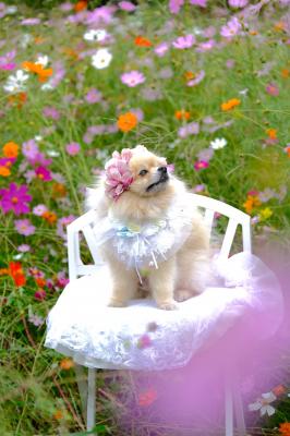 なんか飛んでる？