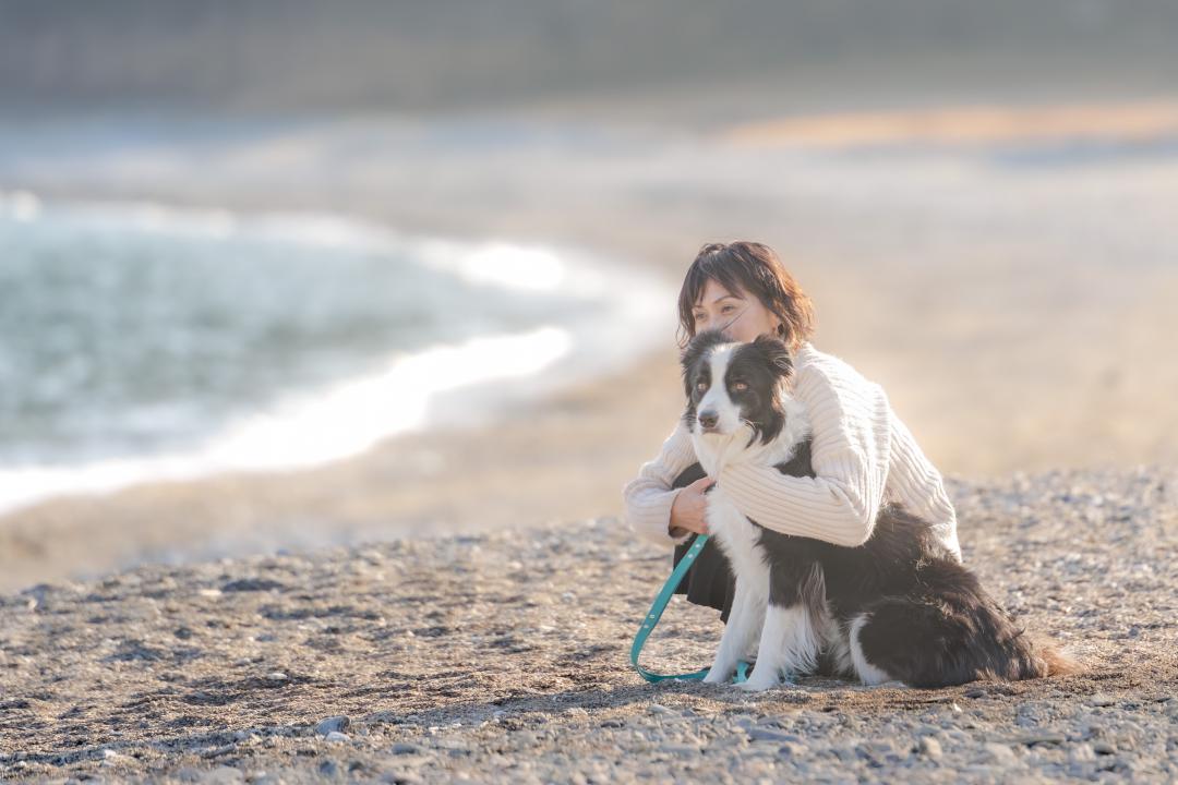 冬の海を見つめて