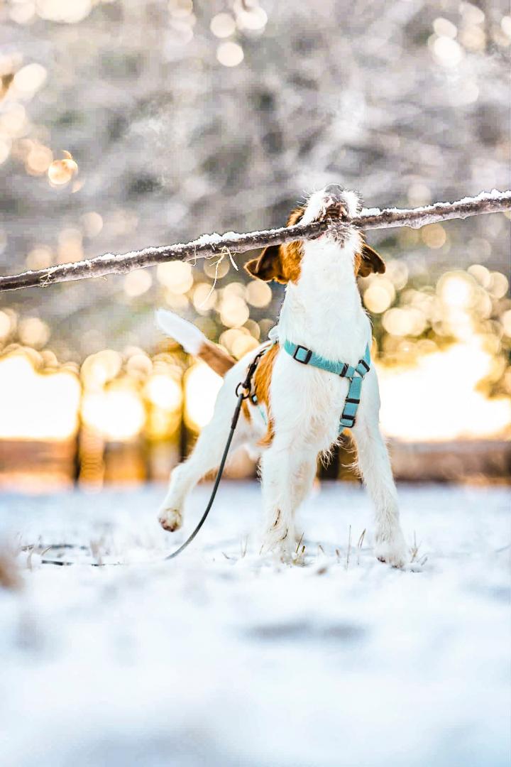 初めての雪遊び