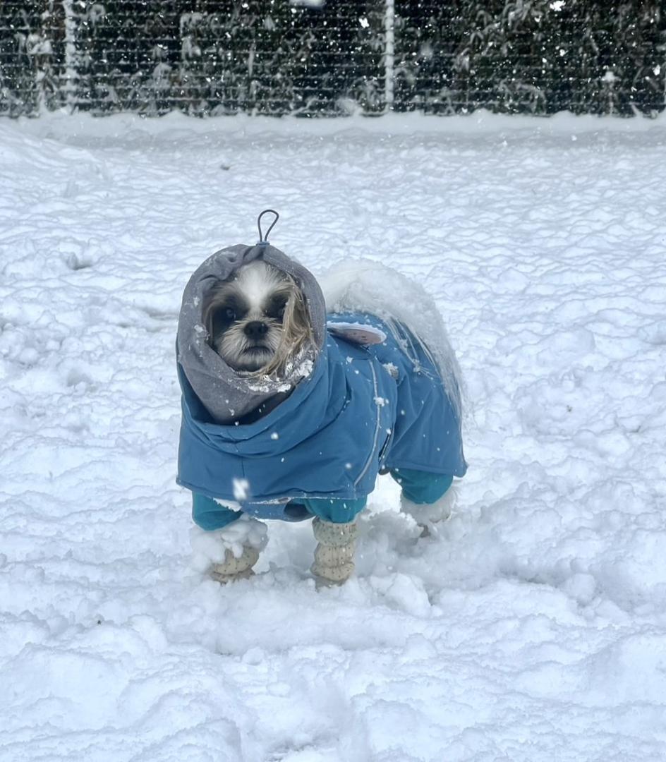 初めての雪遊び