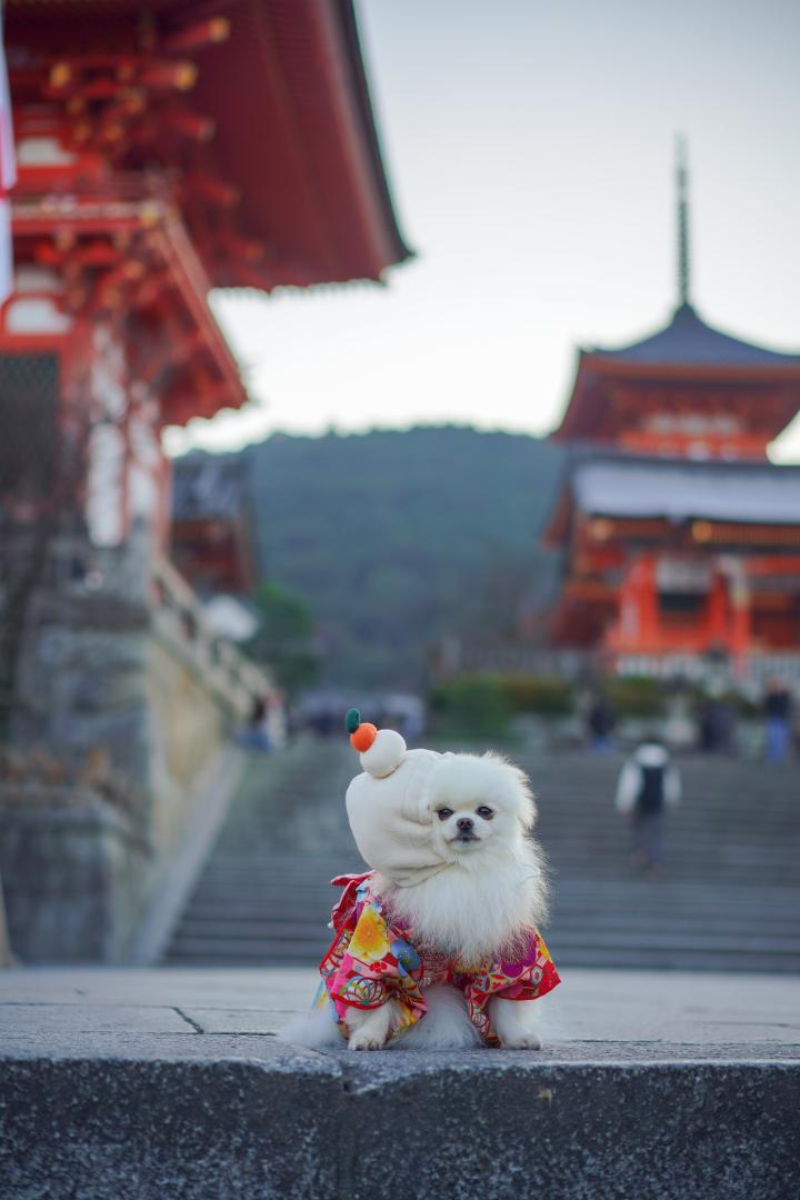 明けましておめでとう⛩️