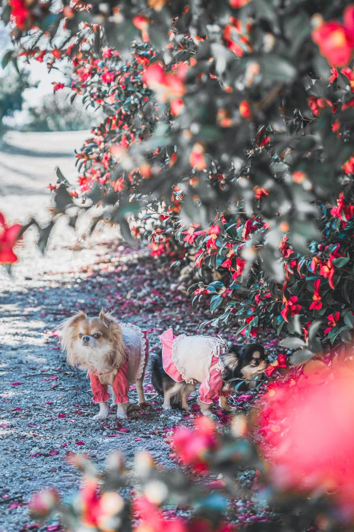 寒さに負けない