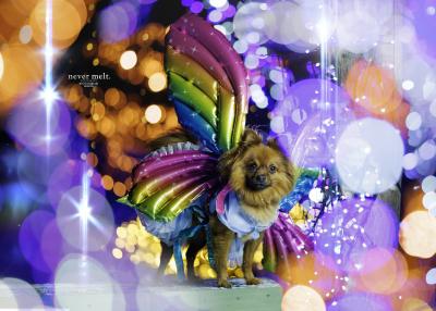 イルミネーション