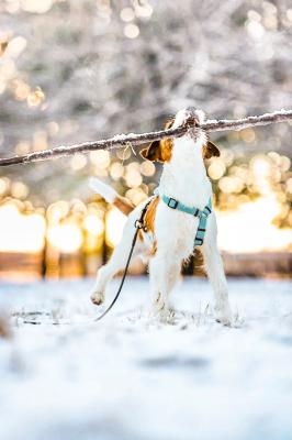 初めての雪遊び