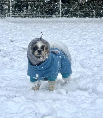 初めての雪遊び