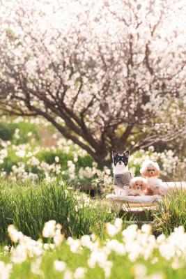 お友達とのお出かけ