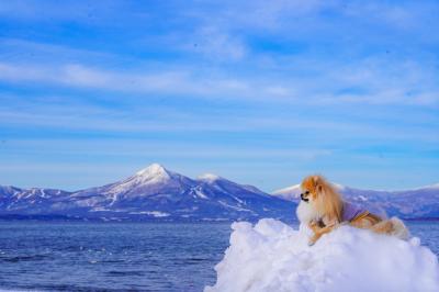 雪山の上のコッペ