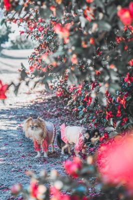 寒さに負けない