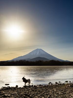 湖って凍るんだね