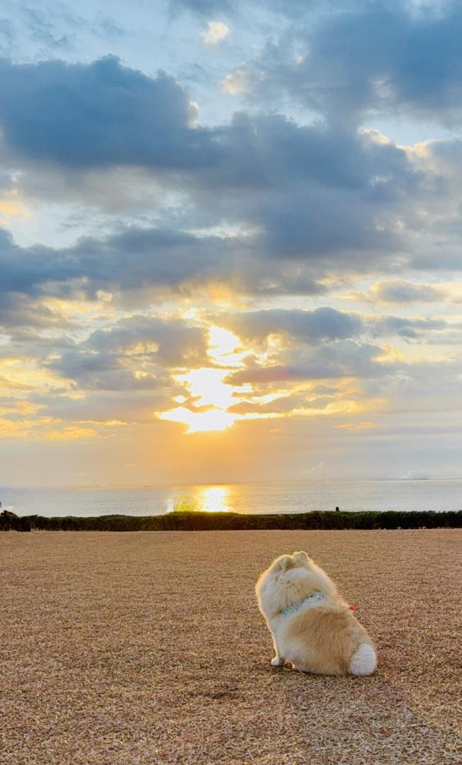 一年の計は元旦にあり