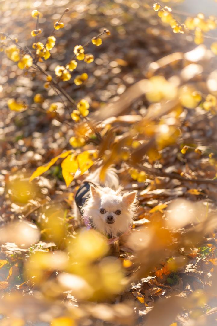 キラキラの世界