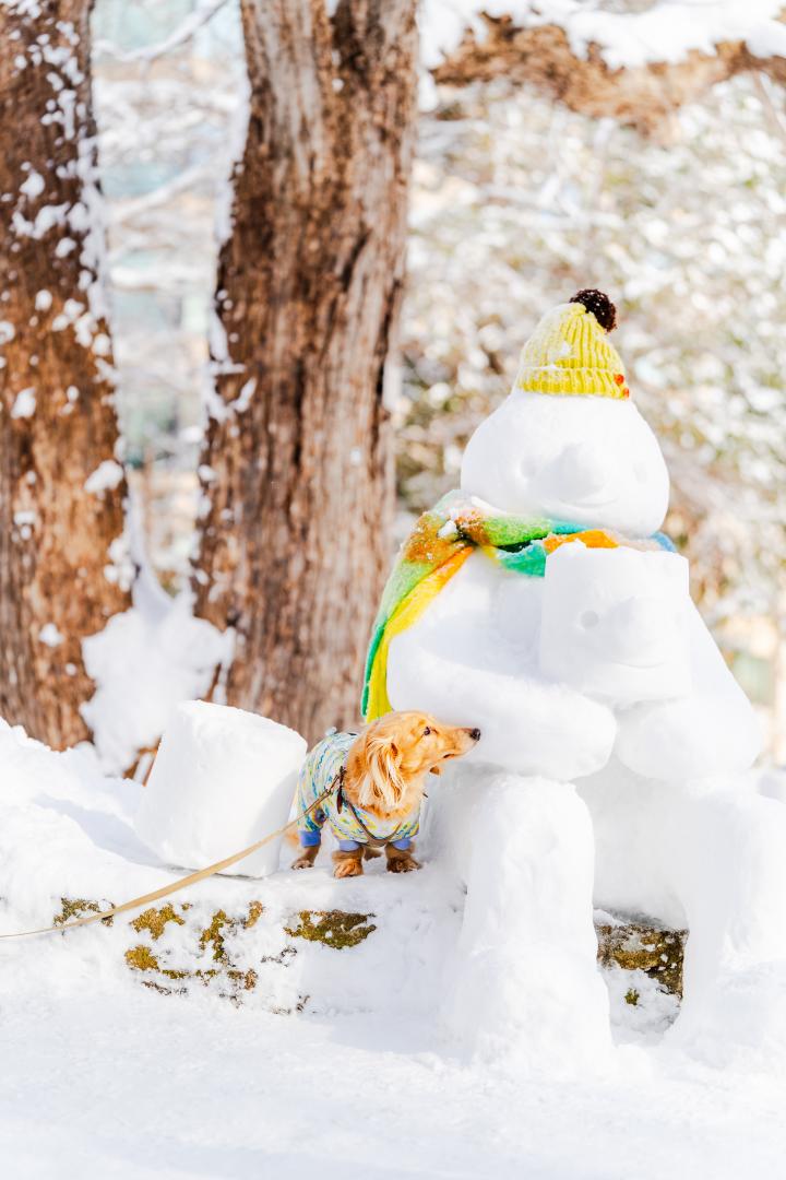 久しぶりに会えたね