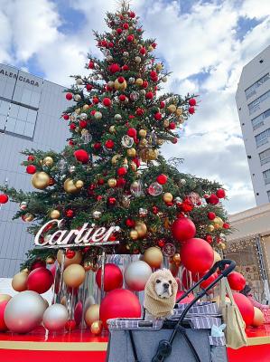 都会のクリスマス