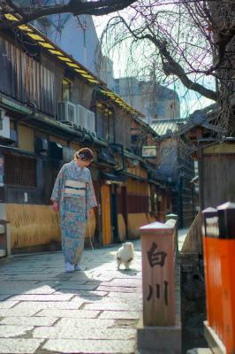祇園散歩