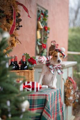 あたしの料理はまだ？