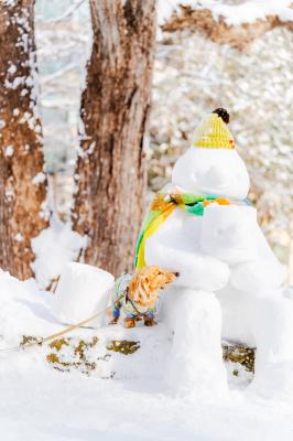 久しぶりに会えたね