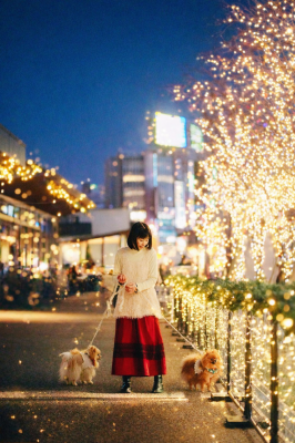 キラキライルミネーション