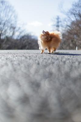 ぶるっとダンス