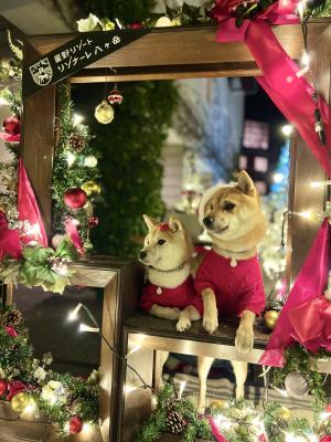 キラキラChristmas