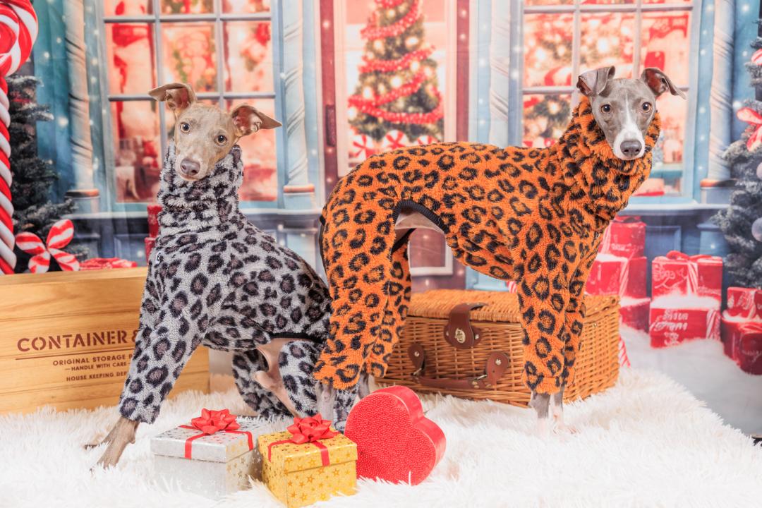 サンタさん待ち