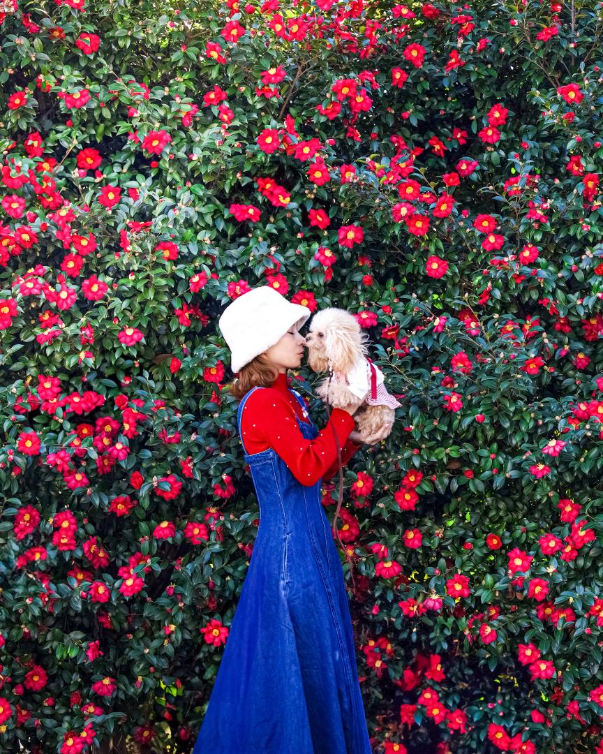 マリちゃんと山茶花とmama