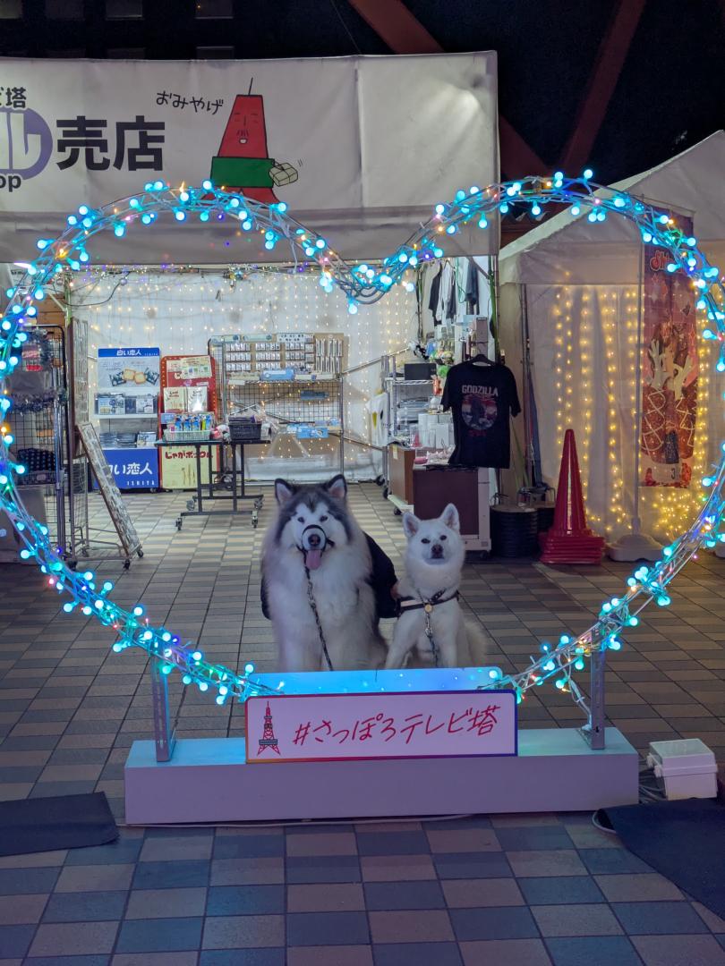 イルミネーション