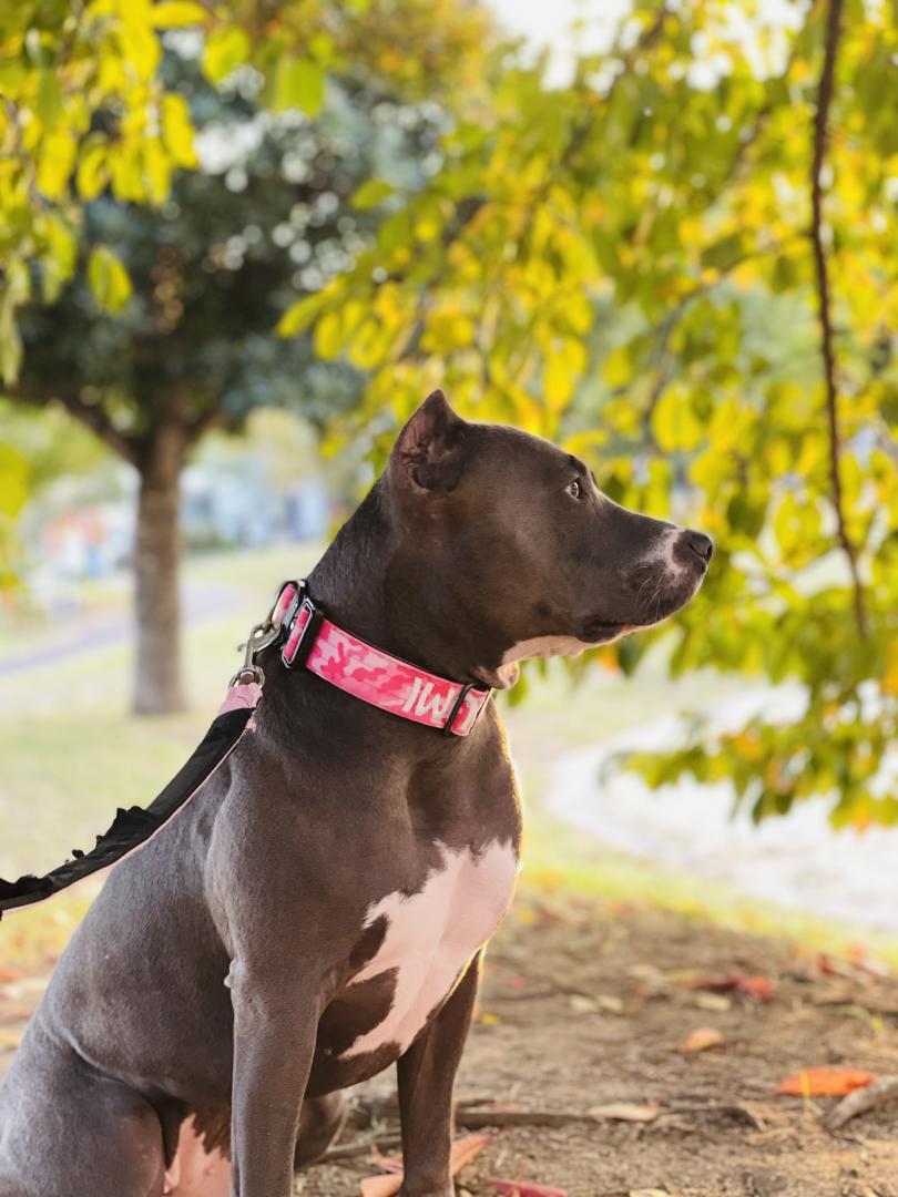 冬なのにぽかぽか陽気
