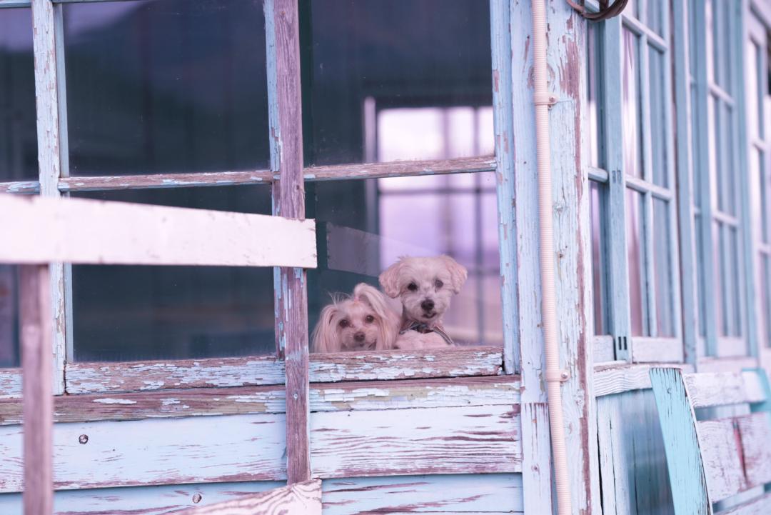 次の電車まだかなぁ