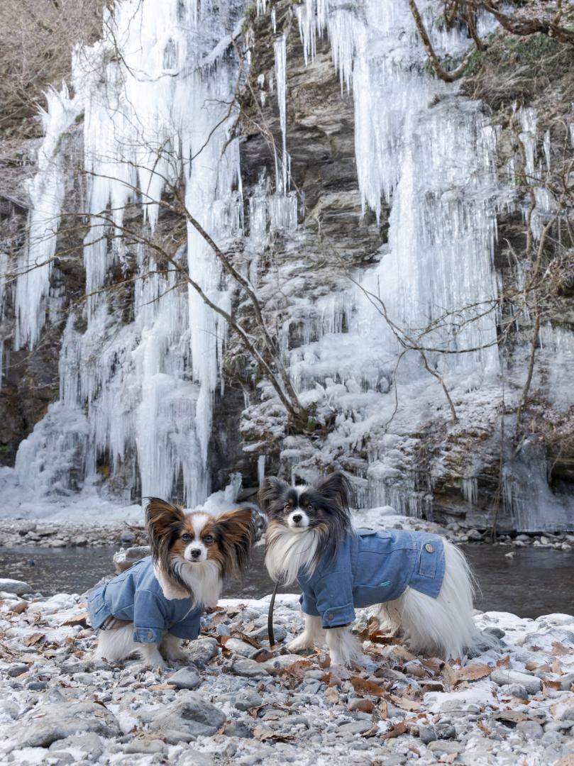 氷柱とビシッと記念撮影