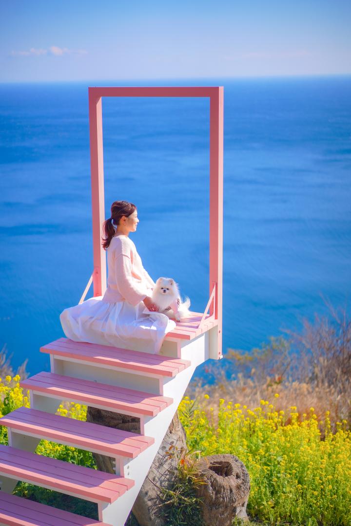 アカオガーデンの春色