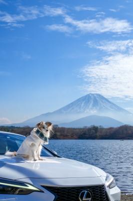 雪化粧始めました❄️