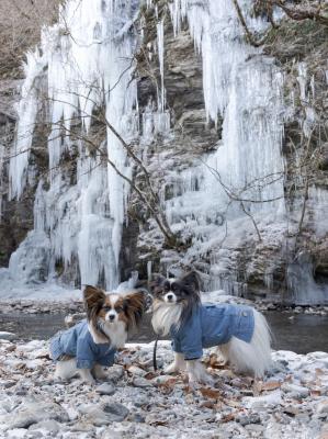 氷柱とビシッと記念撮影
