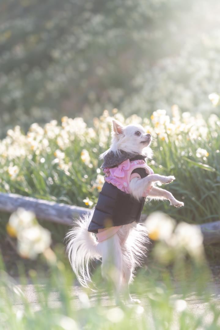 パパどーしたの？