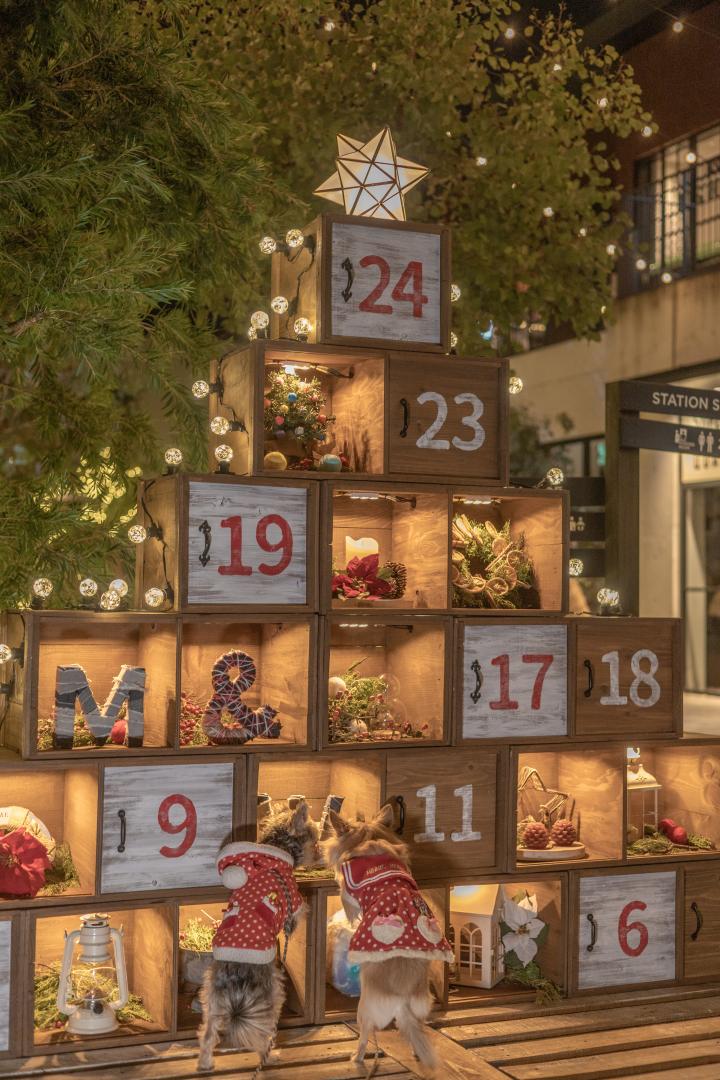 アドベントカレンダー