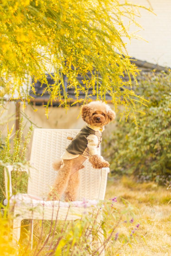 ステキgardenを満喫♡