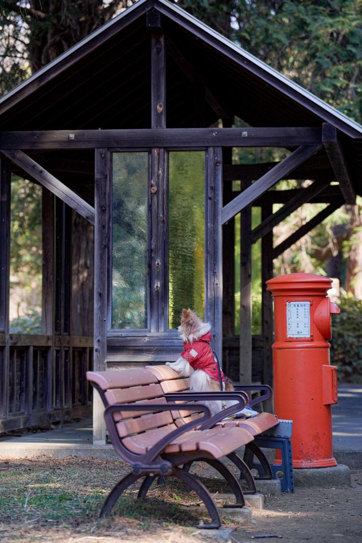 郵便屋さんまだかなぁ