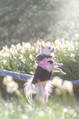 パパどーしたの？