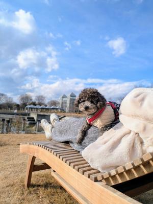 穏やかに晴れた冬の日