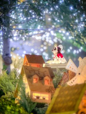 星降る小人の森