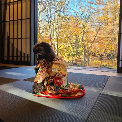 明けましておめでとうございます