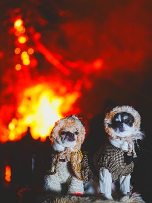 燃え盛る炎とともに