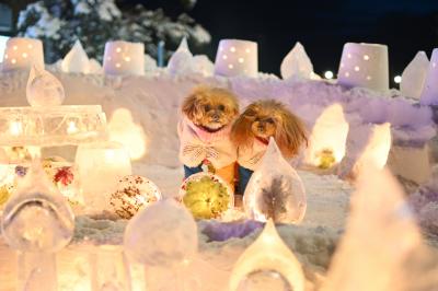 アイスキャンドル