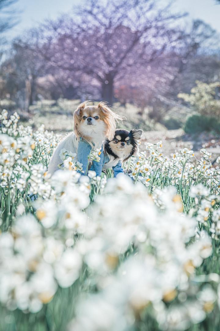 甘い香りに包まれて
