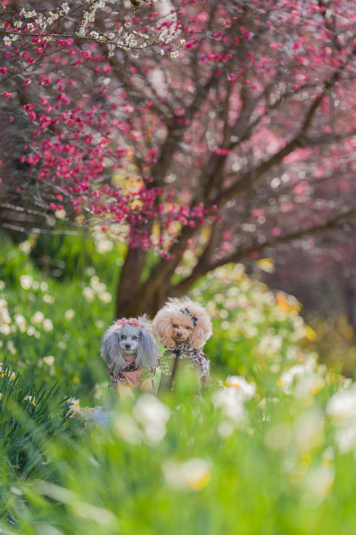 寒さに負けず！綺麗だね‎。