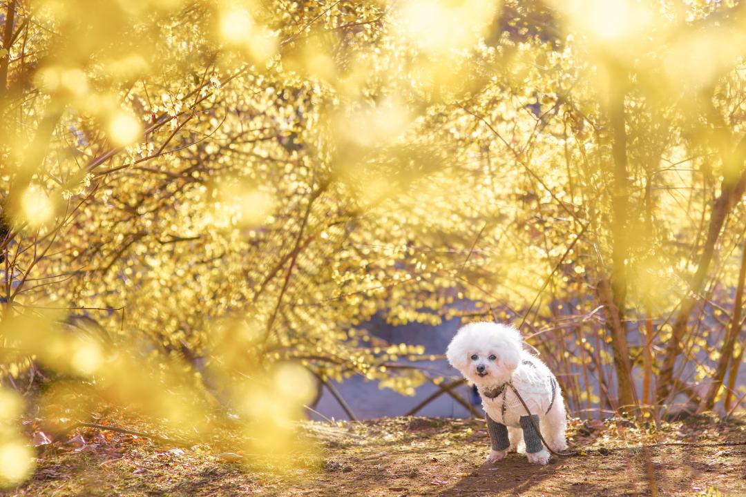 甘～い香りの中で