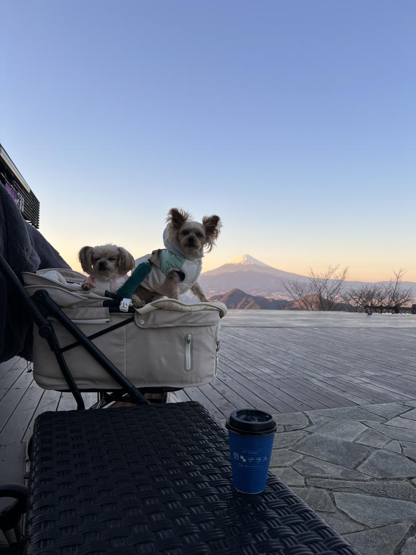夕焼け富士山と犬とコーヒー