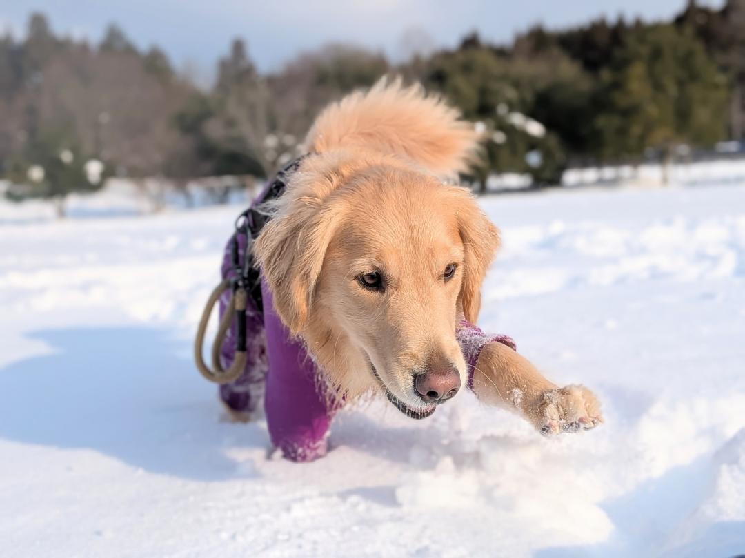 はじめのはじめの　第一歩