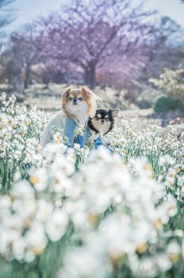 甘い香りに包まれて