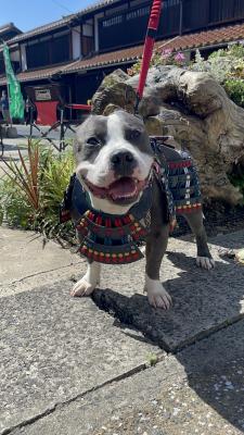 戦国武将に憧れて